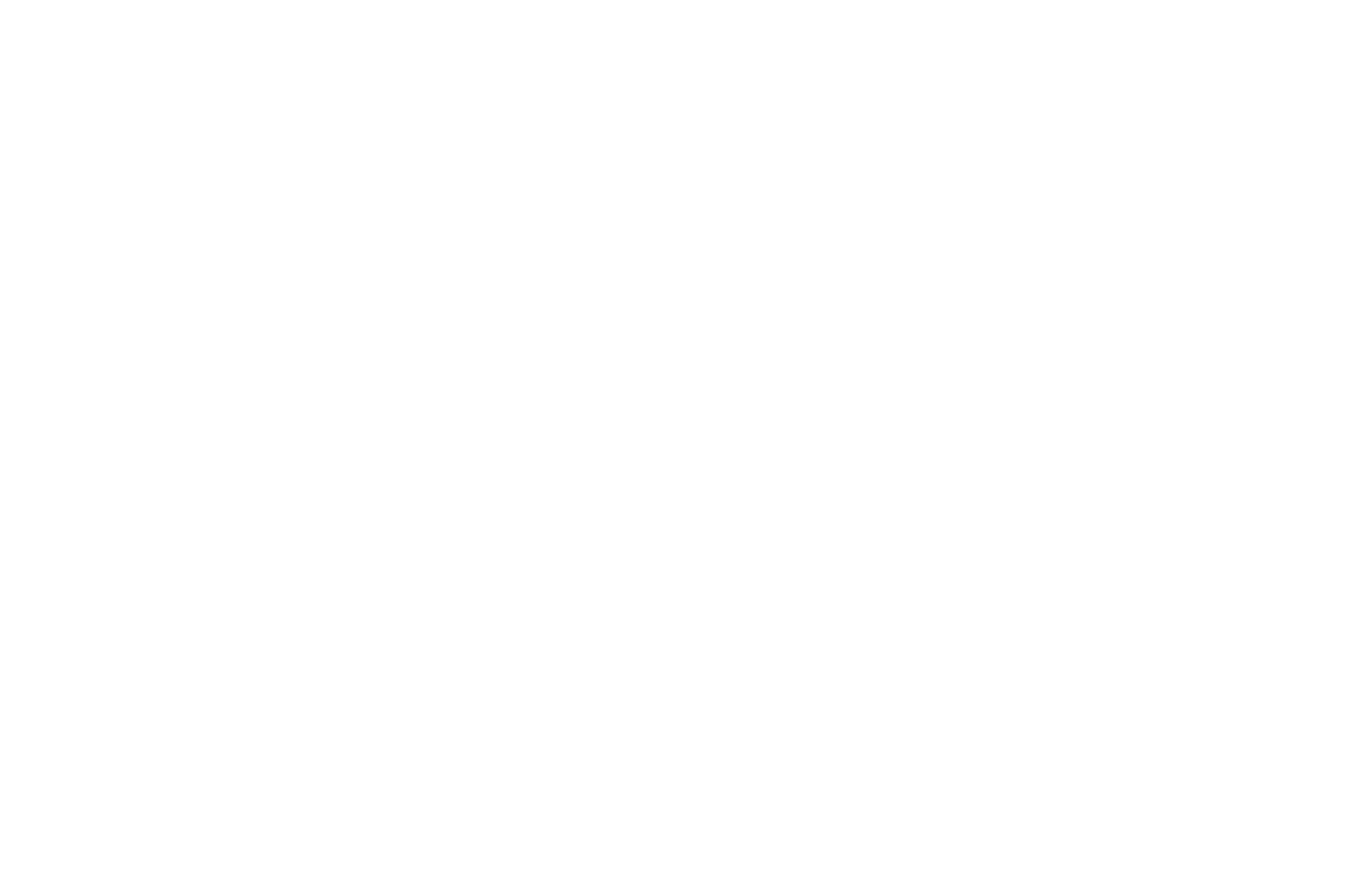 White logo - no background